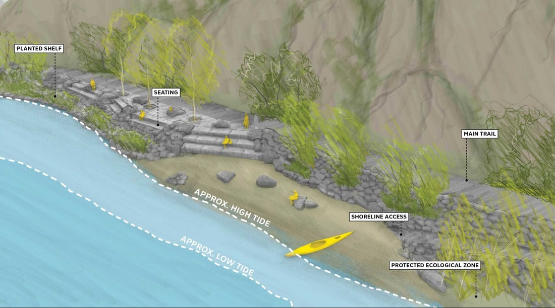 An annotated design diagram of the proposed Lower Overlook, drawn as a cutaway of the shoreline. Labels point to a planted shelf, seating, the main trail, shoreline access, a protected ecological zone, and dashed lines marking approximate high and low tide.