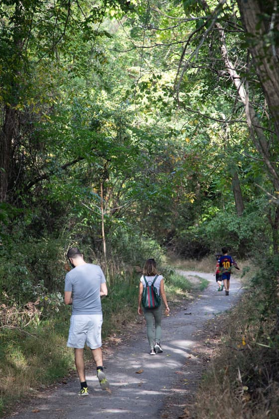 Three people — an adult, a teenager and a child further ahead — walking away from the camera up a wide, firm earth path through dense green summer woodland.