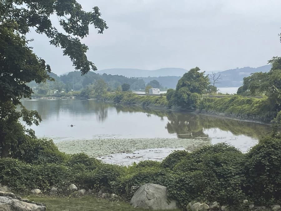 The view south-southwest from the lawn at Little Stony Point: a still inlet covered in lily pads, framed by leafy branches above and dense green scrub below, with the Metro-North causeway crossing the water in the middle distance and hazy hills behind.