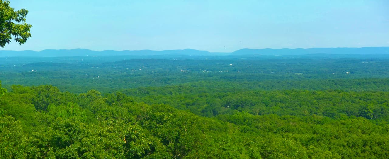 A summer panorama over miles of unbroken green forest canopy toward the long low blue ridgeline of the Hudson Highlands on the horizon, two birds circling in the haze above the valley.