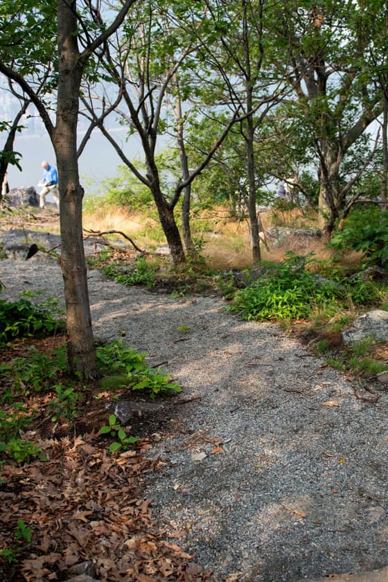 A bare sheet of grey bedrock in thin woodland, with worn earth paths braiding across and around it through fallen leaves, and a glimpse of the river through the trees behind.