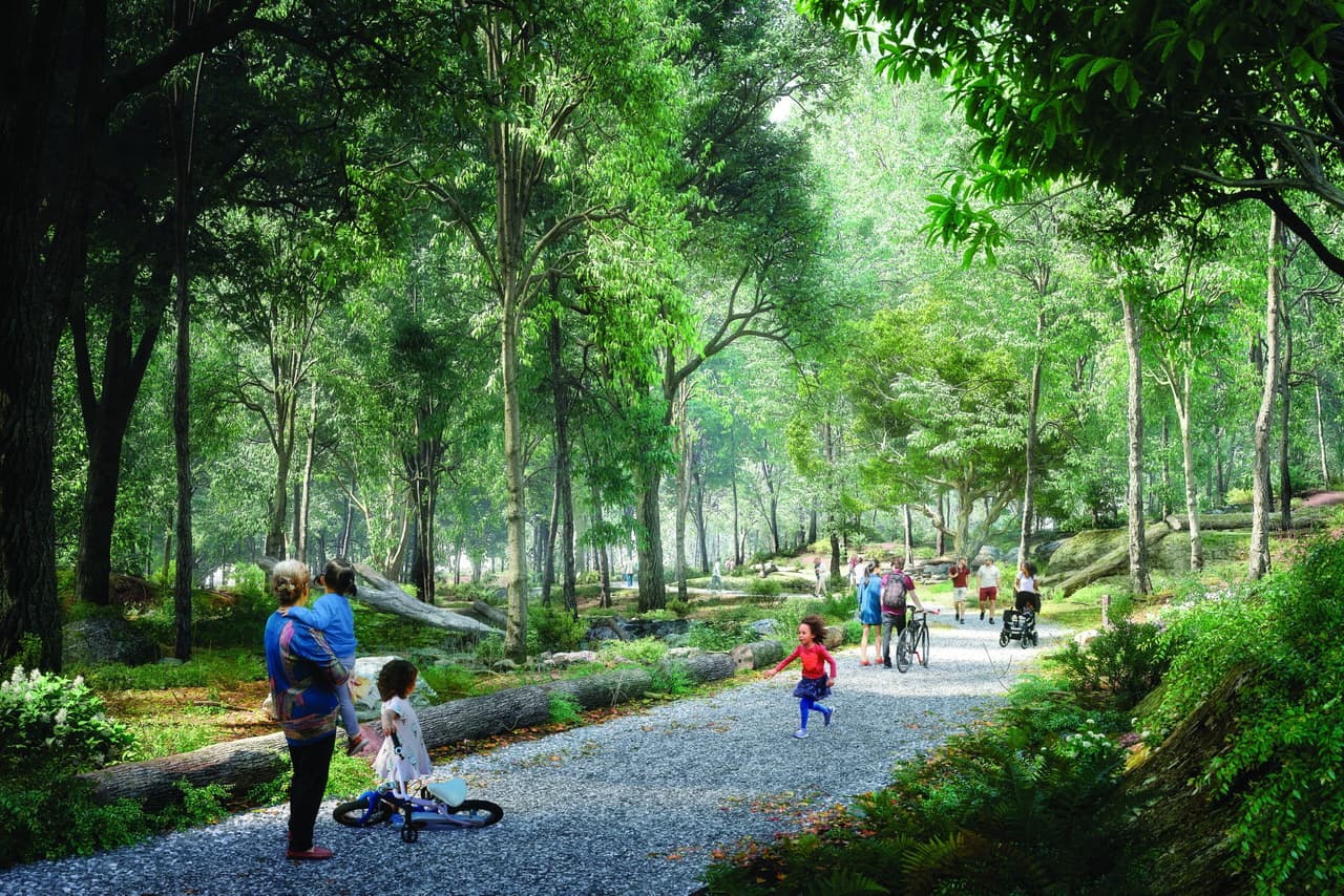 Artist's rendering of a broad, firm-surfaced path through summer woodland, with families walking, a small child on a bike, and planted banks either side of the trail.