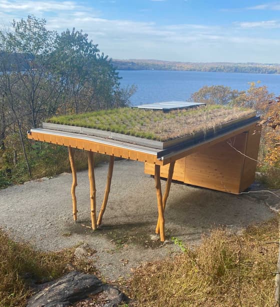 Artist's rendering of a small open-sided steward station: a single-pitch timber shelter with a planted green roof carried on slender raking posts, standing on gravel at the edge of a bluff with the river below.