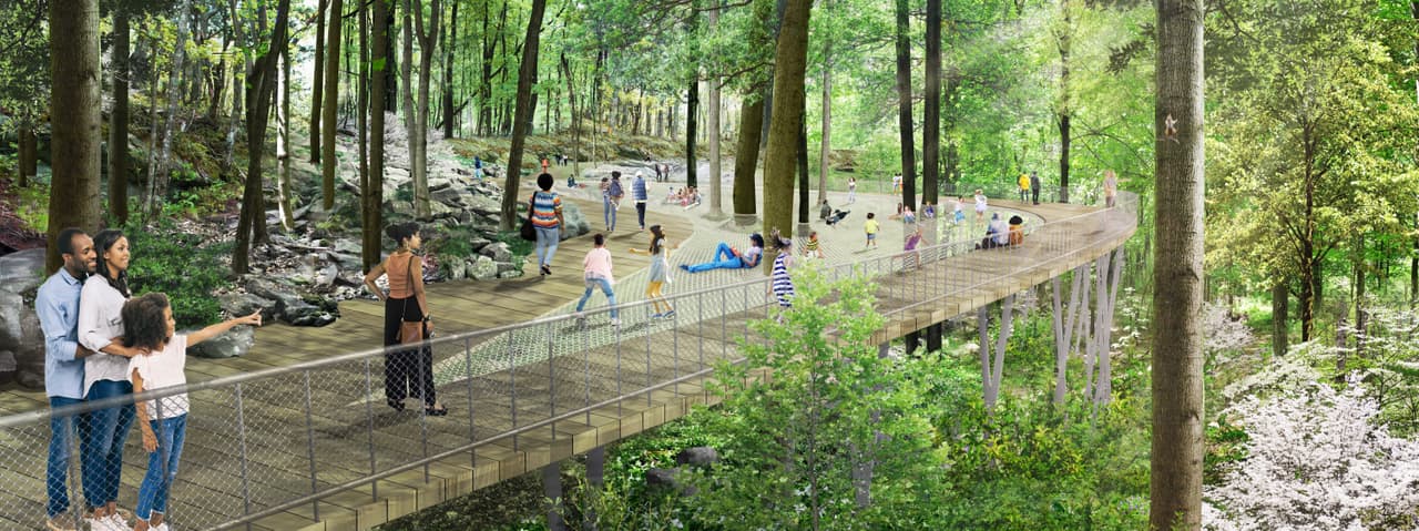 Artist's rendering of the proposed Forest Zone: a boardwalk on slender posts runs through tall bare-trunked woodland, with large rope nets slung between the trees beside it. People are walking the boardwalk and lying and climbing in the nets above the forest floor.