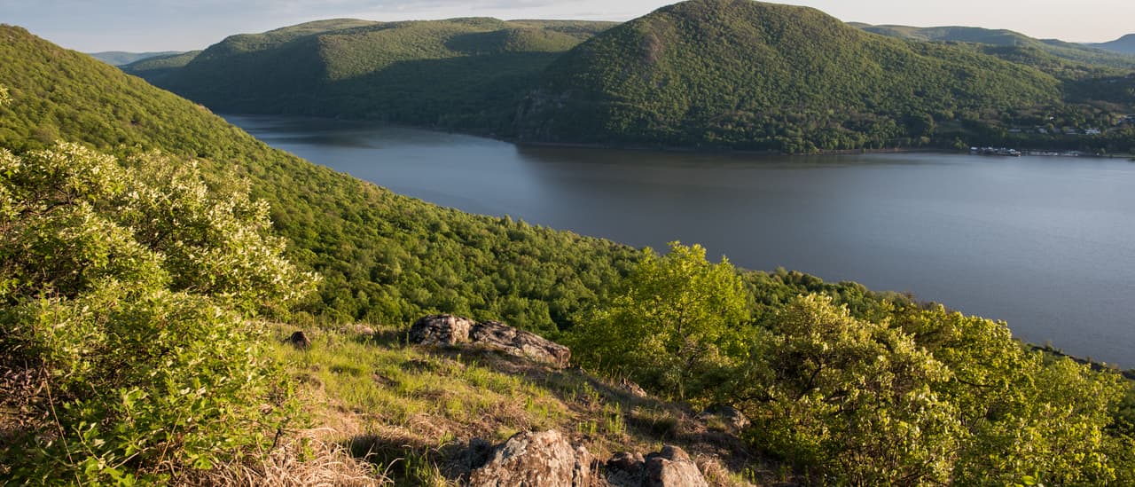 The Hudson from the open summit of Sugarloaf Mountain in early summer: lichen-crusted rock and dry grass in the foreground, flowering shrubs down the slope, and the river curving away between the green mass of Storm King and the wooded hills of both shores under a clear evening sky.